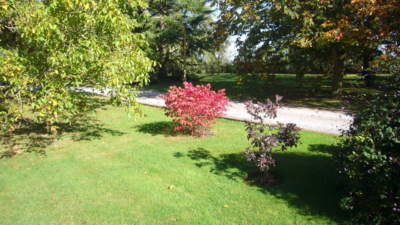 Front Garden Eunonymus at Church House Farm