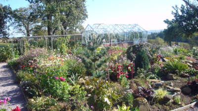 Church House Farm Greenhouse,in our private rear gardens