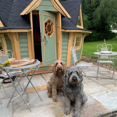 BBQ Hut Patio area with Oscar & Wallace