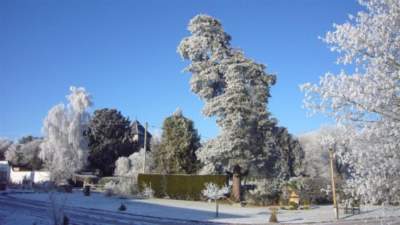 Winter garden at the front of Church House Farm Holiday Cottages