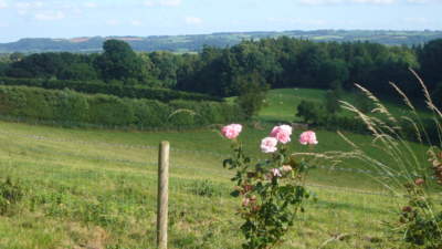 Milson wood view at Church House Farm Holiday Cottages with Roses